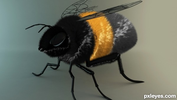 Creation of Bumble Bee: Final Result